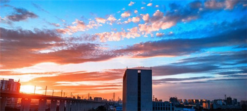 李功夫中华鸡排