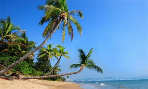 蓉丽小姐酸菜鱼