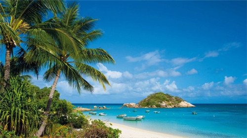 飞尝一家黄焖鸡