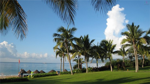 仙隐小鹿日式料理