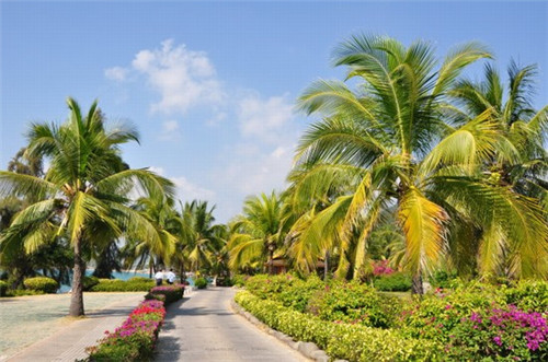 宜宾最火三个美食（宜宾地道美食）