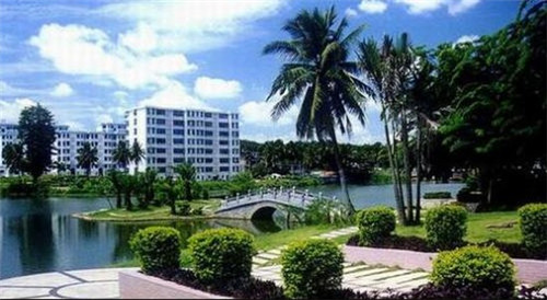 电影背景墙上的歌叫什么（电影里的背景）