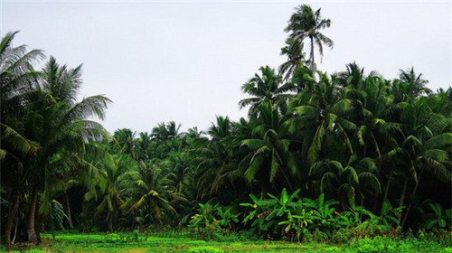 私自列资100万会判几年（私自集资犯法吗）