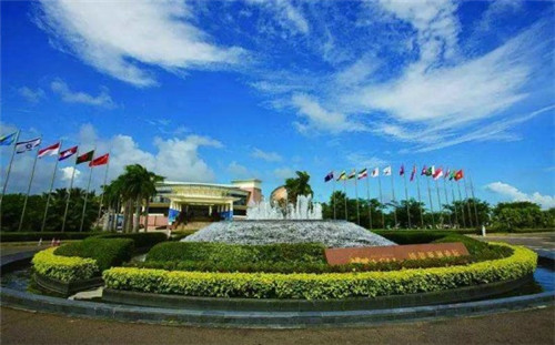 如何查中考分数排名表（如何查中考分数排名表格）